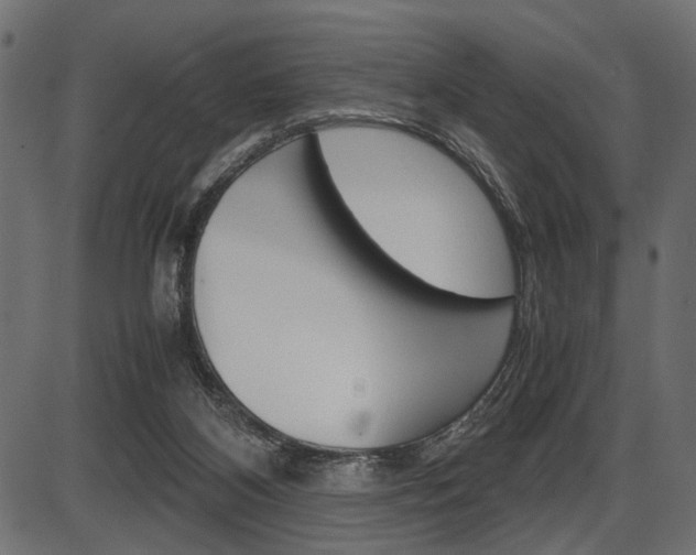 X0000087540116200704270933