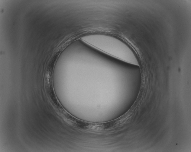 X0000087540117200704270933