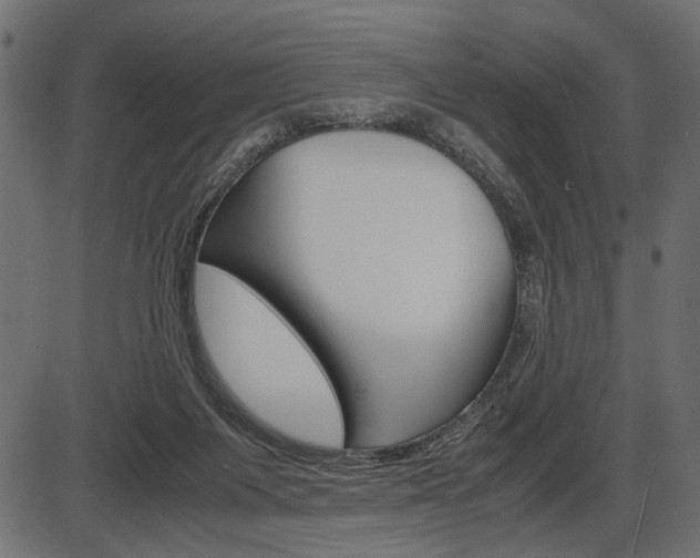 X0000087540119200704270933
