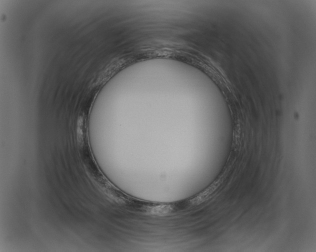 X0000087540122200704270933