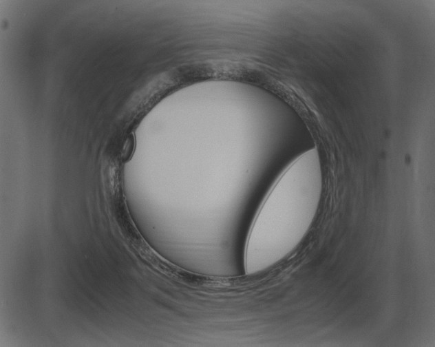 X0000087540123200704270933