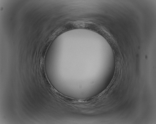 X0000087540125200704270933