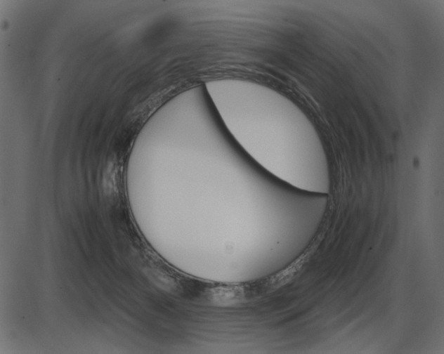 X0000087540126200704270933