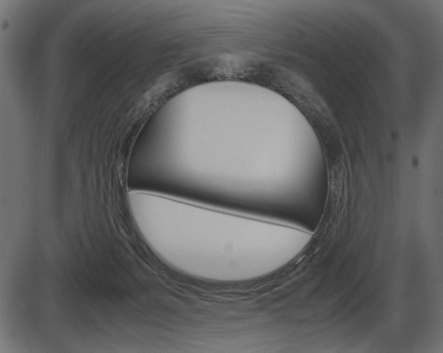 X0000087540127200704270933