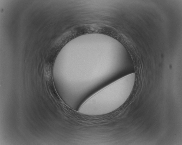 X0000087540129200704270933