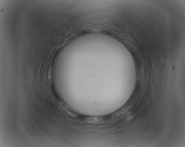 X0000087540131200704270933