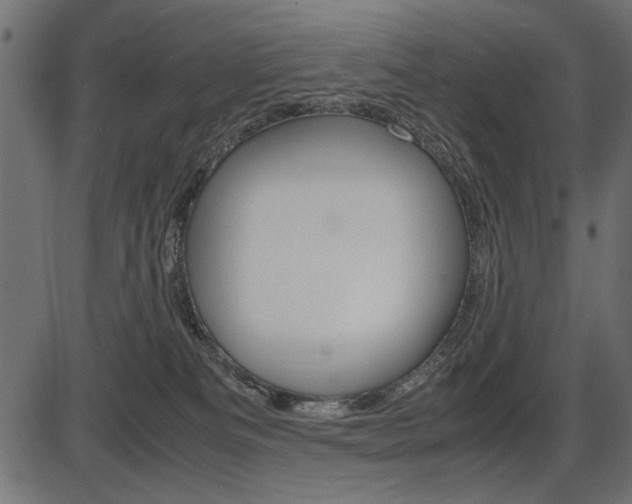 X0000087540133200704270933