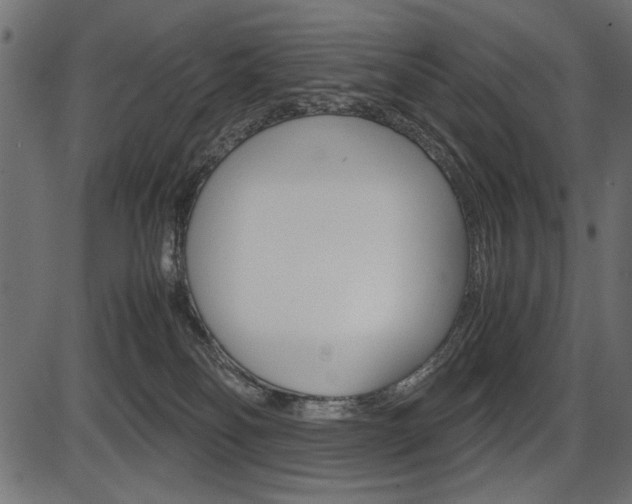 X0000087540134200704270933