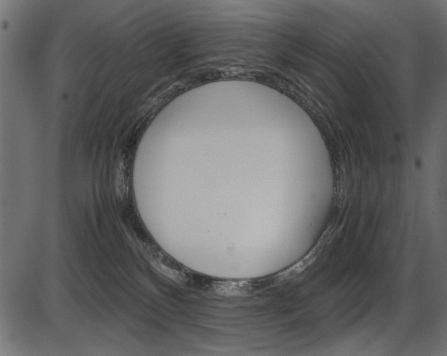 X0000087540136200704270933