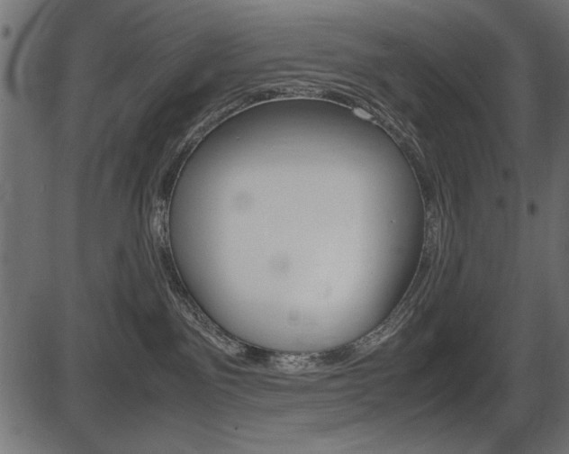 X0000087540141200704270933