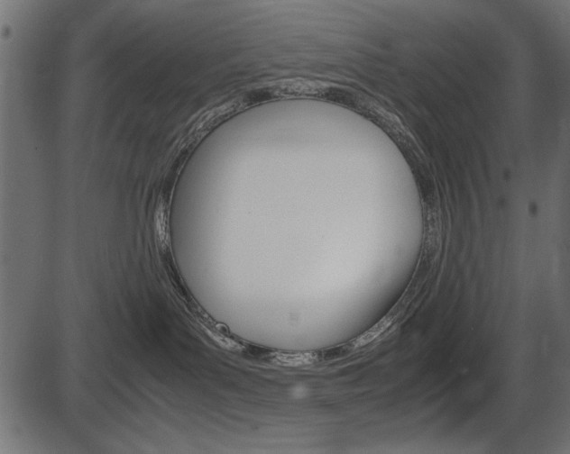 X0000087540143200704270933