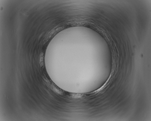 X0000087540144200704270933
