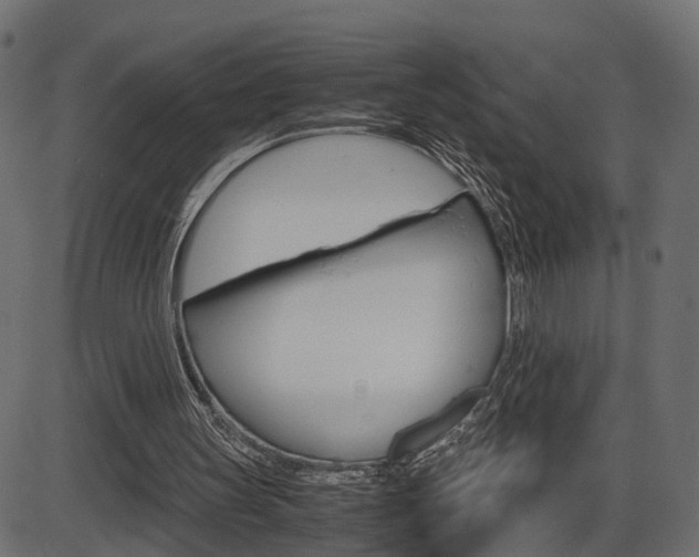 X0000087540147200704270932