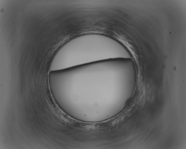 X0000087540153200704270932