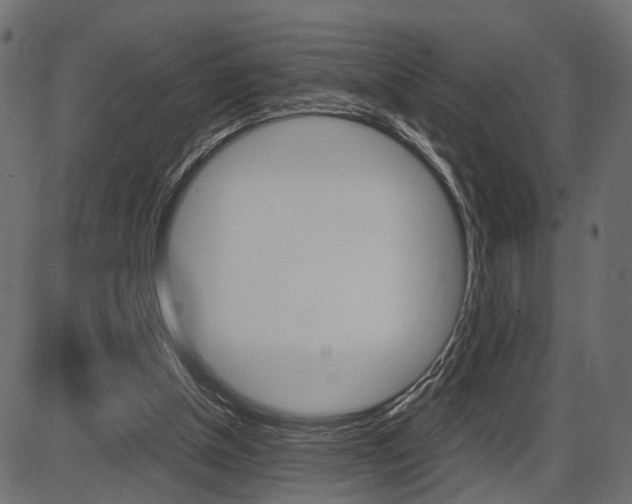 X0000087540154200704270932