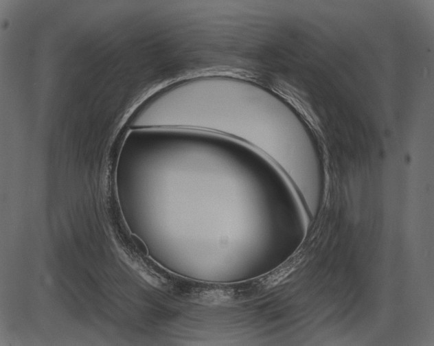X0000087540156200704270932