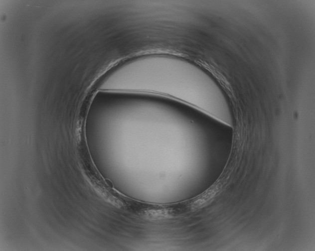 X0000087540160200704270932
