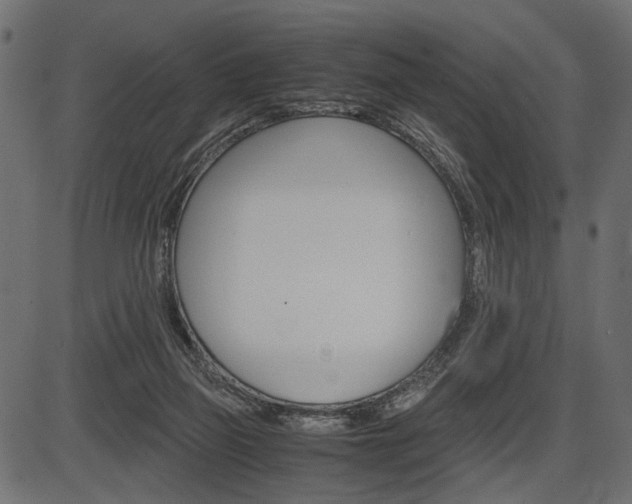 X0000087540165200704270932