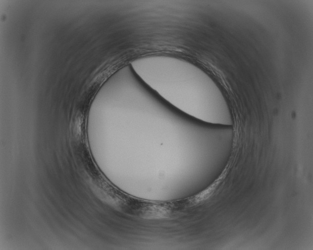 X0000087540166200704270932