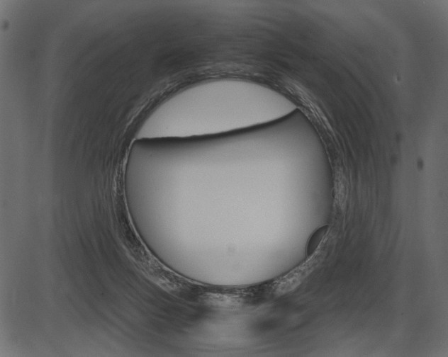 X0000087540167200704270932