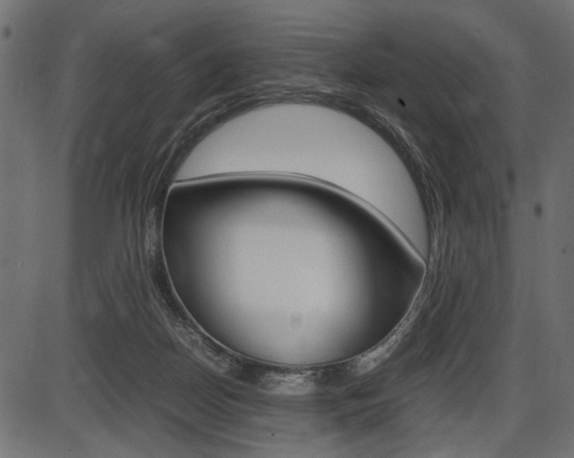 X0000087540170200704270933