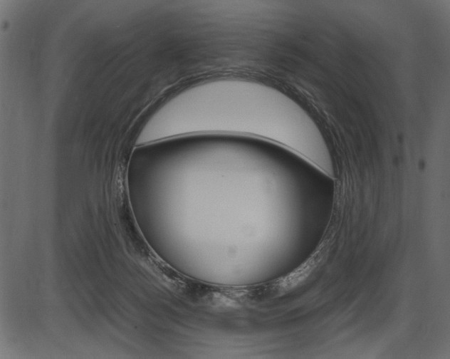 X0000087540172200704270933