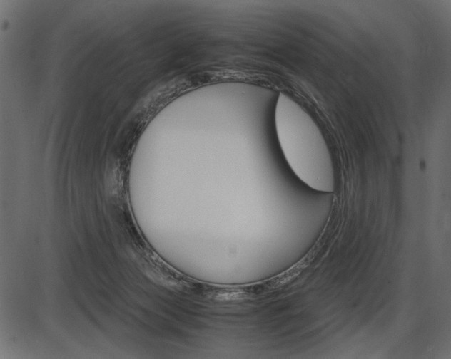 X0000087540173200704270933