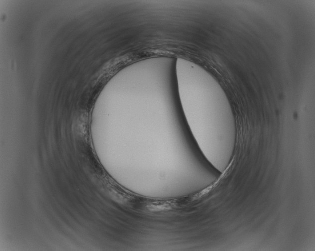 X0000087540175200704270933
