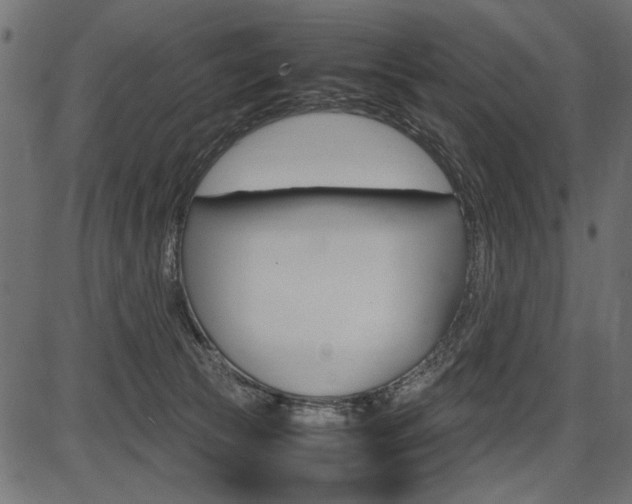 X0000087540177200704270933