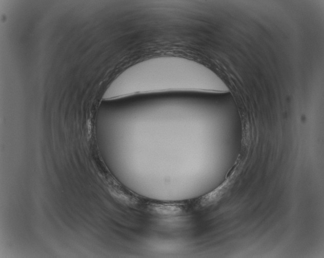X0000087540183200704270933