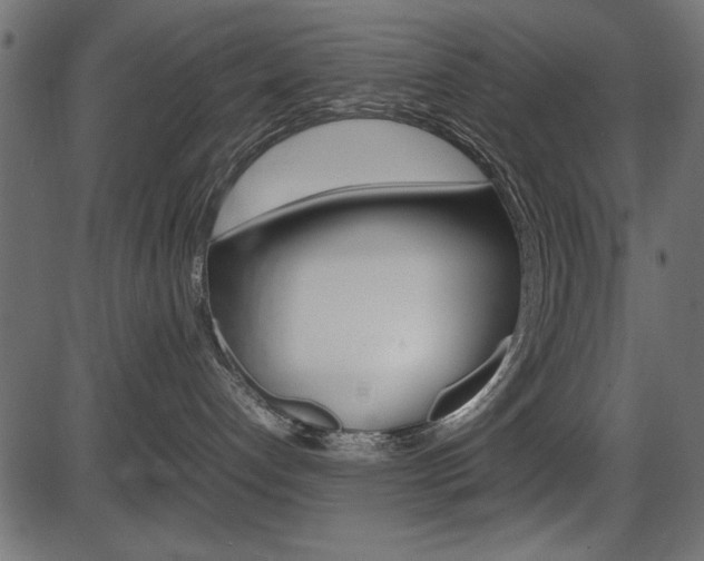X0000087540192200704270933