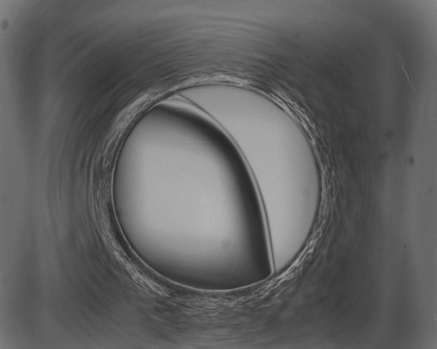 X0000087540193200704270932