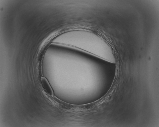 X0000087540197200704270932