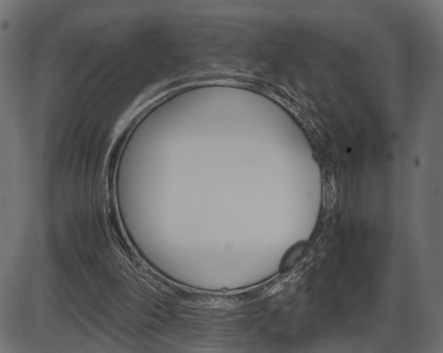 X0000087540198200704270932