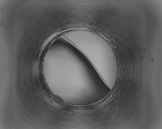 X0000087540200200704270932
