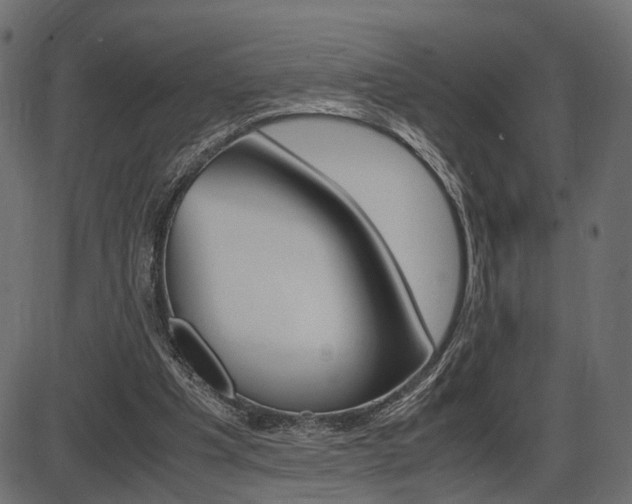 X0000087540201200704270932