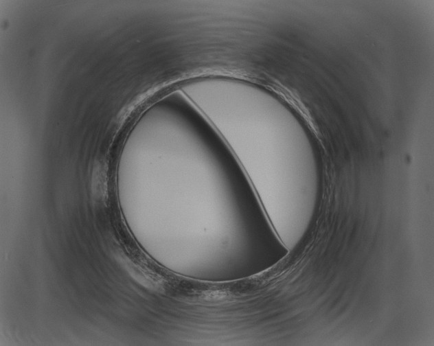 X0000087540204200704270932