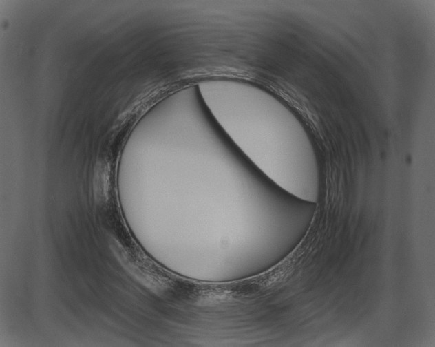 X0000087540206200704270932
