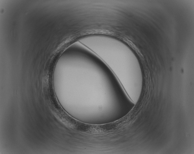 X0000087540207200704270932
