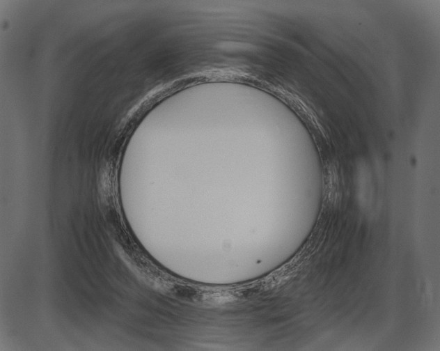 X0000087540208200704270932