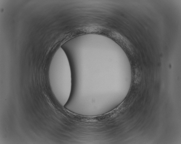 X0000087540210200704270932