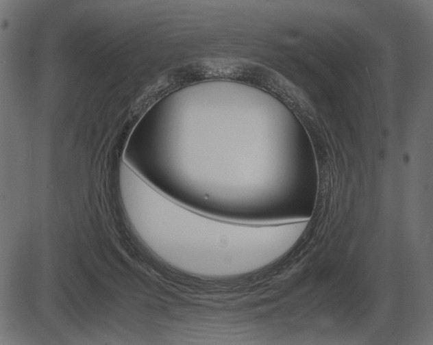 X0000087540215200704270932
