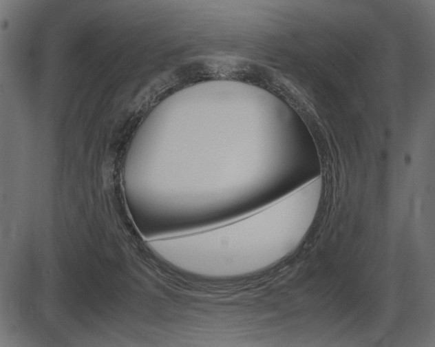 X0000087540221200704270932