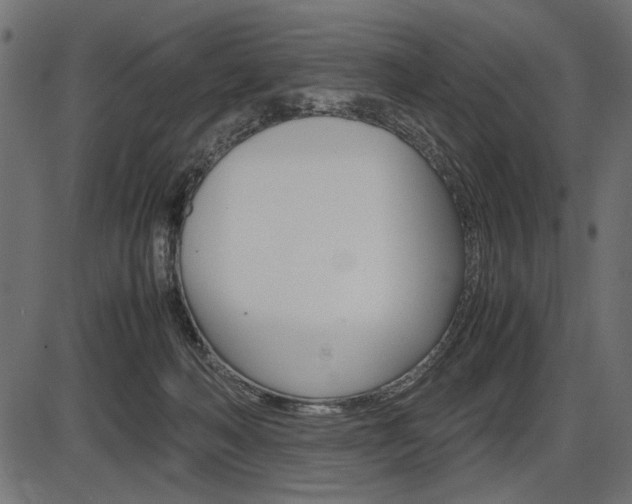 X0000087540222200704270932