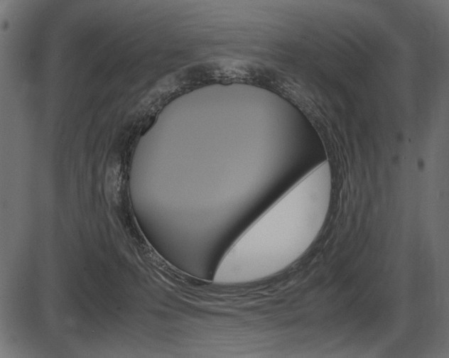 X0000087540223200704270932
