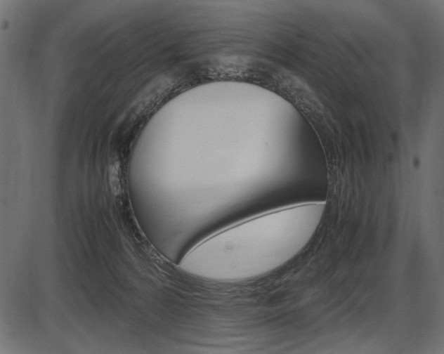 X0000087540224200704270932