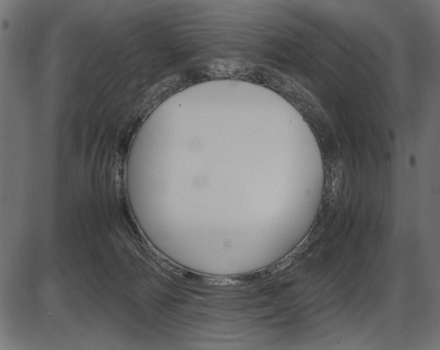 X0000087540226200704270932