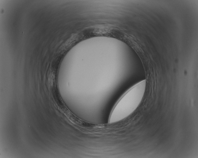X0000087540227200704270932