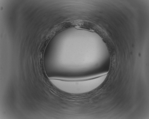 X0000087540229200704270932
