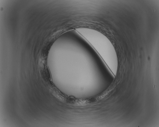 X0000087540235200704270931